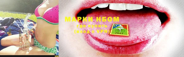 трава Белокуриха