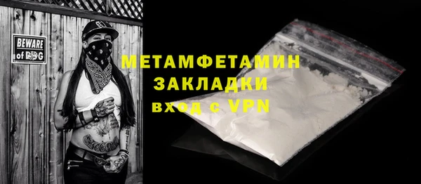трава Белокуриха