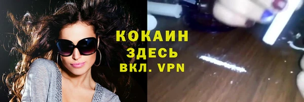 трава Белокуриха