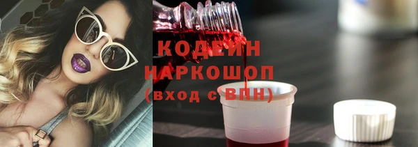 трава Белокуриха