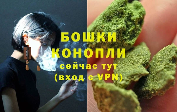 трава Белокуриха