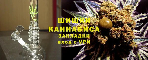 трава Белокуриха