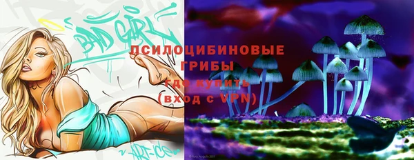 трава Белокуриха