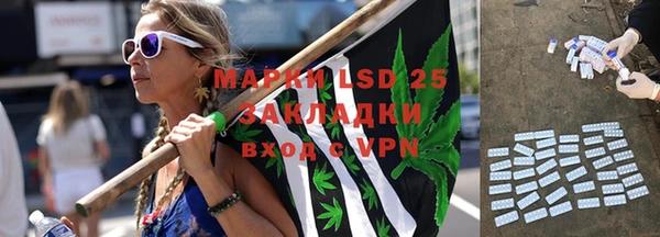 трава Белокуриха